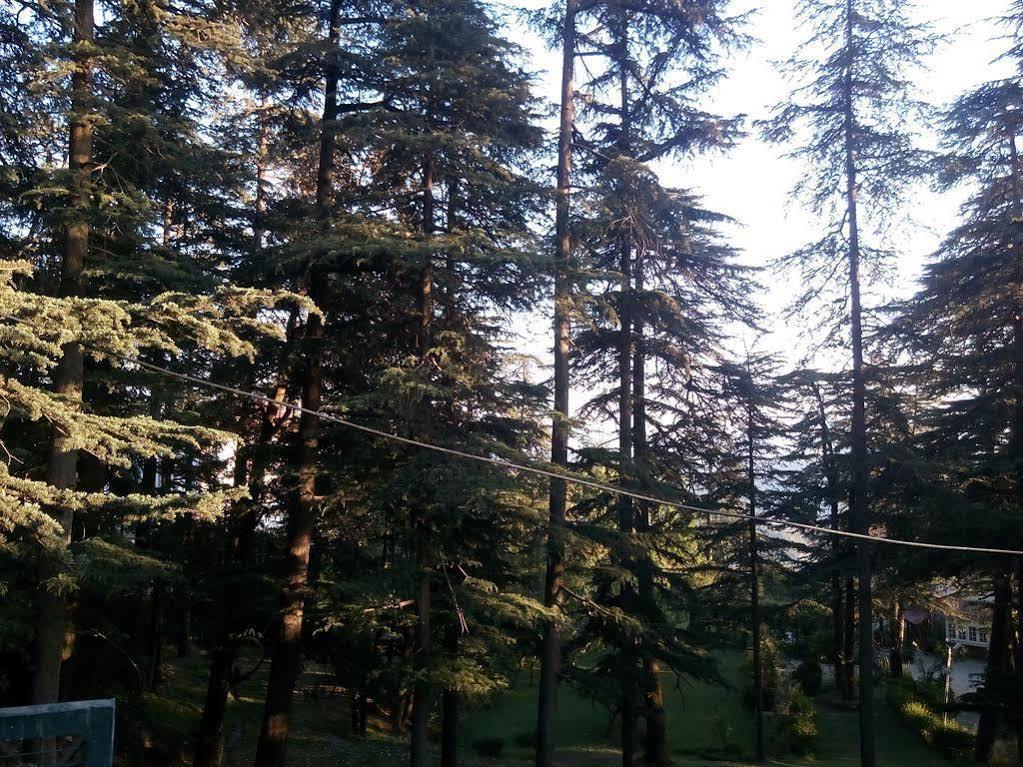 Torrentium Lodge Shimla Luaran gambar
