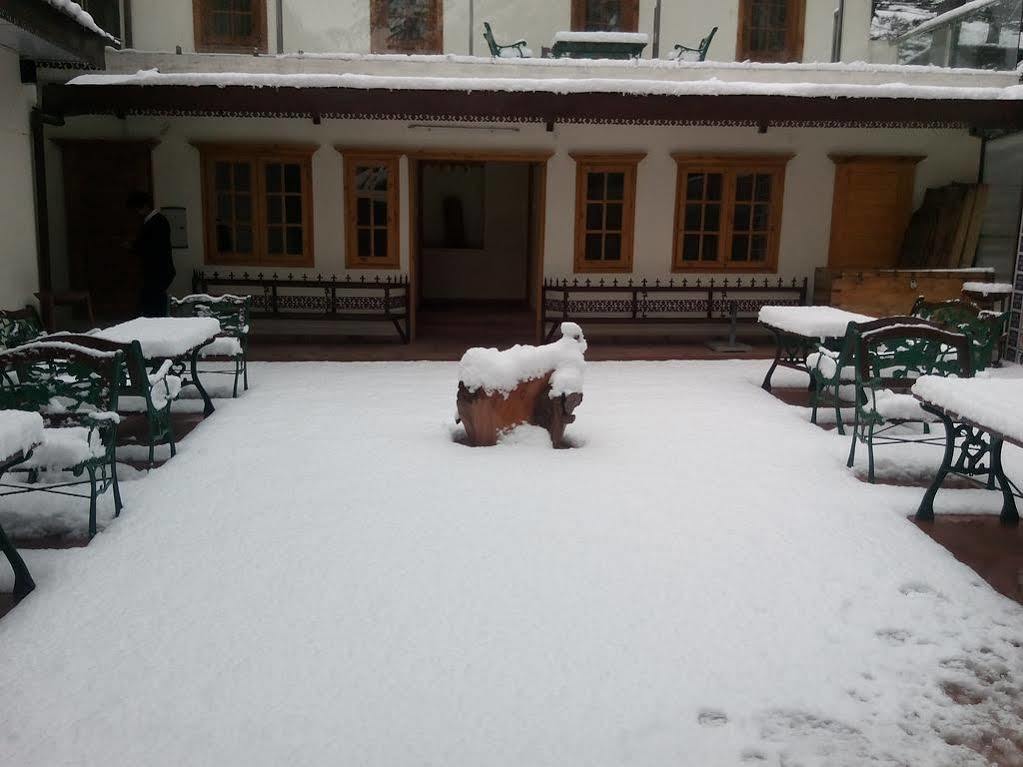 Torrentium Lodge Shimla Luaran gambar